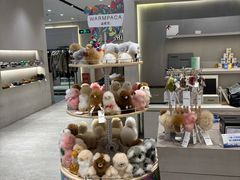 -the balancing(东方店)