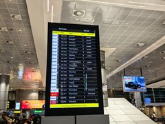 -开罗国际机场