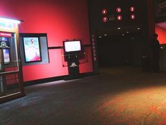 -新影联·华谊兄弟影院(望京店)