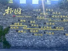 -朴园