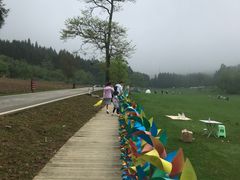 -武陵山森林公园