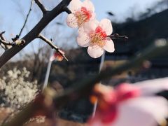 -幕燕滨江·长江观音景区