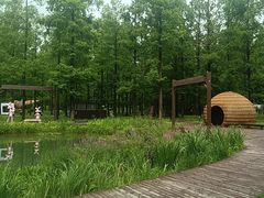 -黄海国家森林公园