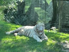 -北京野生动物园