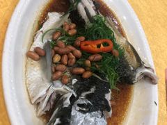 葱淋鲈鱼-壹厨饭店(五羊店)