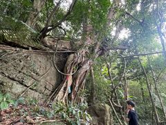 -七仙岭温泉国家森林公园