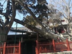 -晋祠公园
