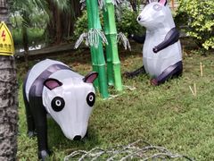 -广东花都香草世界旅游度假区