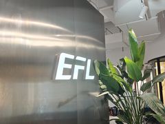 -EFL巴西柔术·综合格斗·泰拳·少儿体能训练(虹桥德必馆)