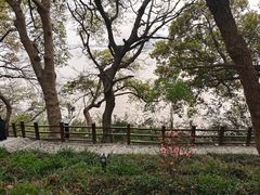 -外蒲山