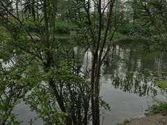 -新江湾城公园