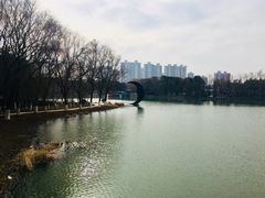 -昆山城市生态森林公园