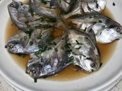 -阿莉餐厅(枣阳路店)