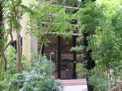 -香港大学