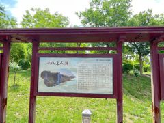 -卤阳湖国家湿地公园