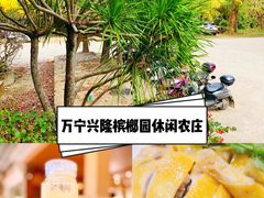 -兴隆槟榔园休闲农庄