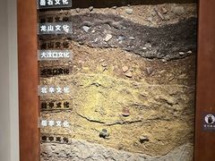 -临沂市博物馆