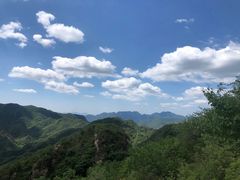 -大岭沟猕猴桃谷风景区