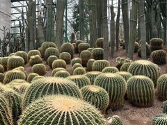 -南山植物园