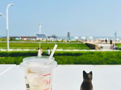 -猫的天空之城概念书店(北戴河蔚蓝海岸店)