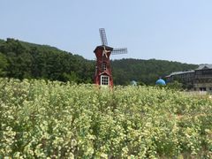 -金石滩蓝莓谷庄园