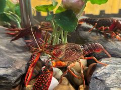 -长沙文和友(海信广场店)