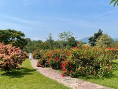 -中国科学院西双版纳热带植物园