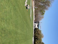 -TIPPI营地 房车主题·露营烧烤团建轰趴(天安假日店)