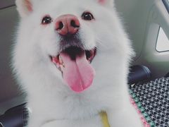 -美联众合24小时·皮肤科·外科·全科诊疗中心(华苑分院)