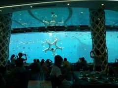 -瑞德姆美人鱼海底演艺主题餐厅(亚龙湾店)