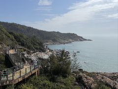 -广东惠东海龟国家级自然保护区