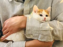 -平行世界·猫咖(首经贸店)