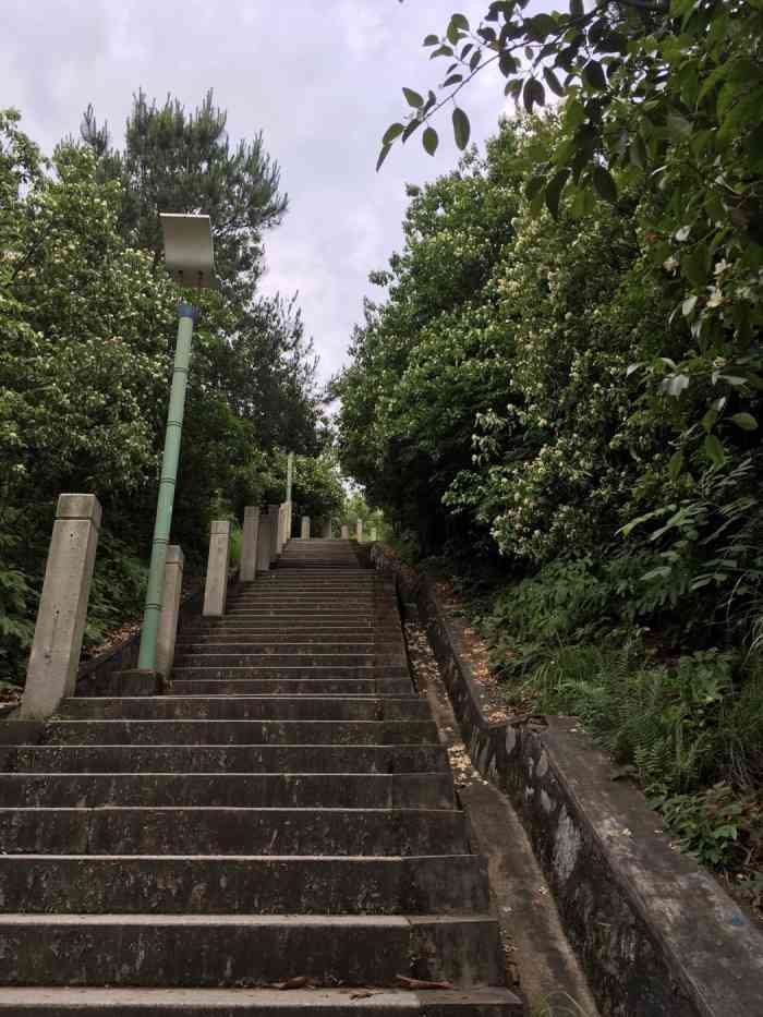 南山公园"推荐理由:晚上散步的好地方[糖果-大众点评移动版