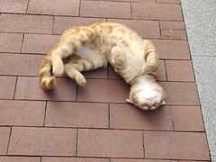 -上海嘉宁·心理咨询中心