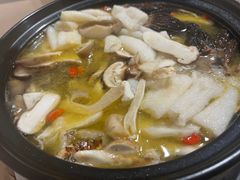-蘑统田下·野生菌火锅