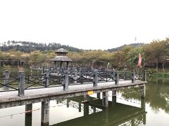 -田野绿世界