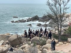 -广东惠东海龟国家级自然保护区