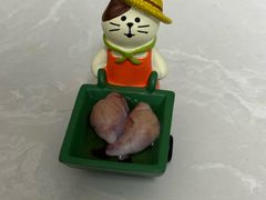 -中农国际动物医院24小时·猫科·骨科·急重症中心