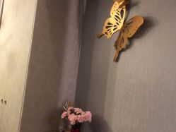 -紫颖·专业美胸·连锁养护中心