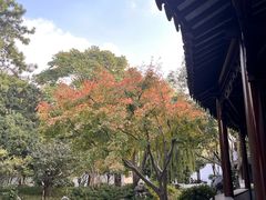 -嘉定博物馆