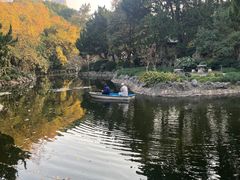 -叶家花园