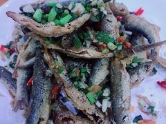 -全乐鱼馆·淳牌有机鱼直营店