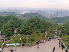 -大金鹰园