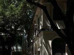 -九龙公园