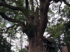 -安溪清水岩