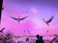-中国湿地博物馆