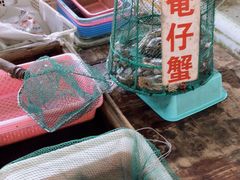 -南沙十九涌渔人码头-南门