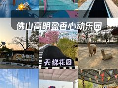 -盈香心动乐园