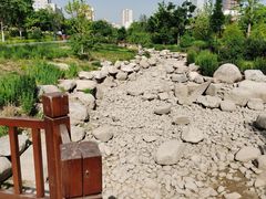 -莲花池公园