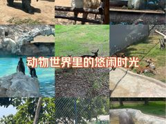 -三水森林公园